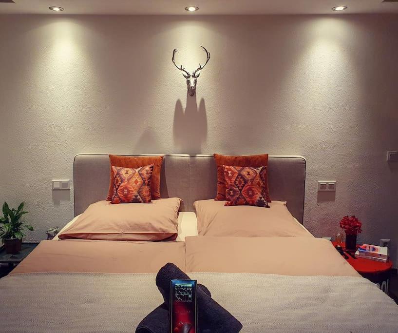 Familienfreundliche Wohnung Zwischen Koeln & Aachen ベルクハイム エクステリア 写真